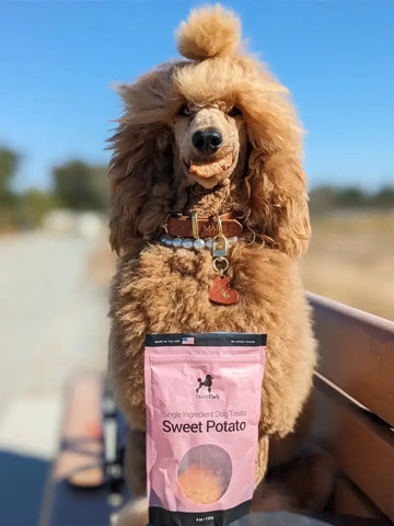 A fluffy brown poodle sits outdoors with a treat in its mouth. In front of the dog is a pink bag of single ingredient dog treats labeled Sweet Potato. The background shows a clear blue sky and a blurred landscape.