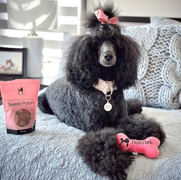 A black poodle with a pink bow on its head lies on a bed. The dog has a pink dog bone toy with the PierrePark logo printed on it near its front paws. Next to the dog is a pink bag of PierrePark Sweet Potato dog treats. The background includes a gray knitted pillow and other indoor decor, suggesting a cozy indoor setting.