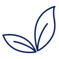 Simple line drawing of two navy blue leaves overlapping slightly, set against a white background. The leaves are depicted without veins or stems, emphasizing a minimalist design.