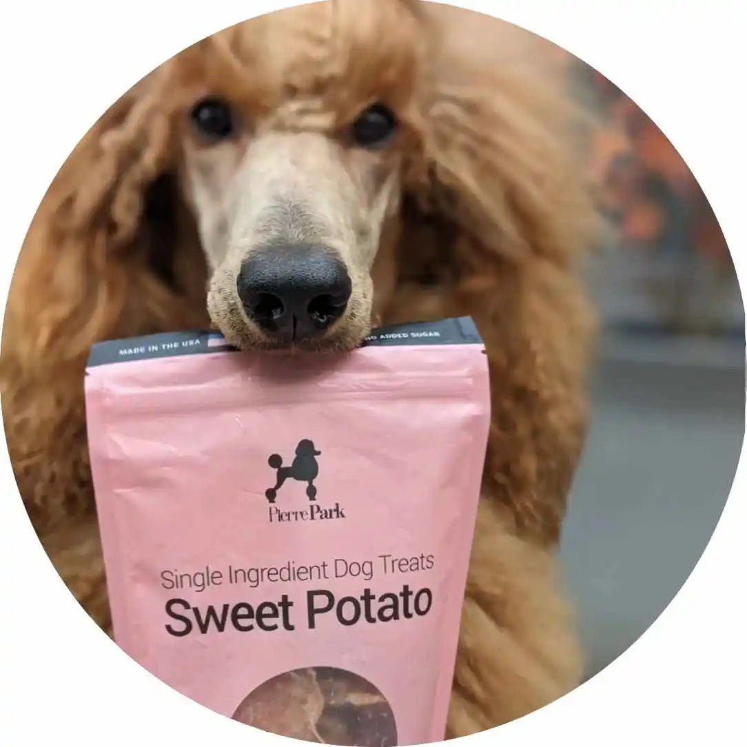 A fluffy dog is holding a pink bag of dog treats labeled Single Ingredient Dog Treats: Sweet Potato in its mouth. The bag features a logo with a poodle silhouette.