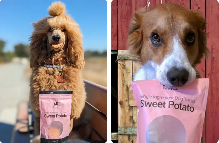 Two images of dogs holding pink bags of sweet potato dog treats. Left: A curly-haired brown poodle with a collar, outdoors. Right: A dog with brown and white fur holding the bag in its mouth, standing against a wooden backdrop.
