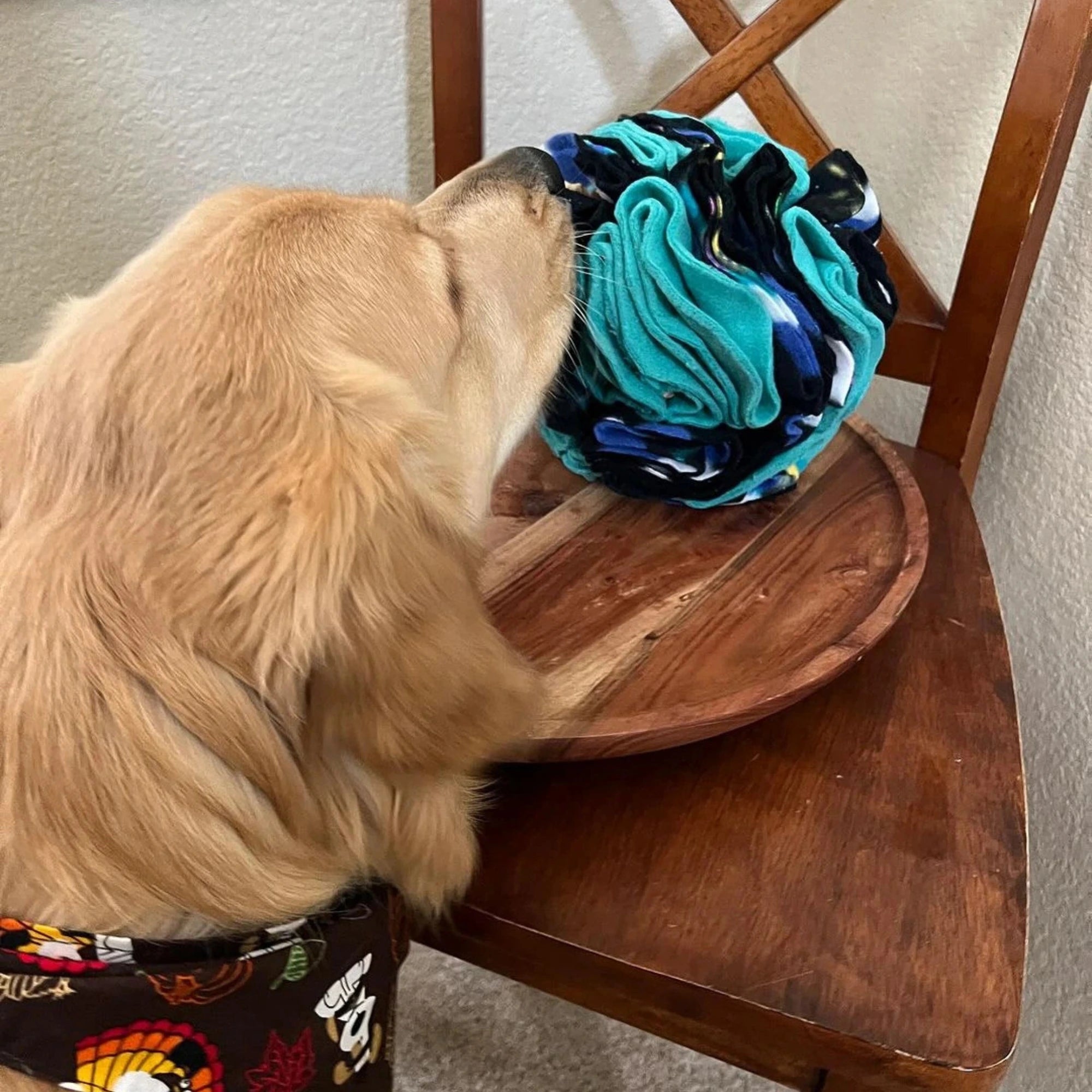 A golden retriever in a patterned bandana sniffs the PierrePark Snuffle Ball, an interactive puzzle toy for dogs, placed on a wooden tray atop a chair, enjoying mental enrichment as it explores the rolled fabric ball.