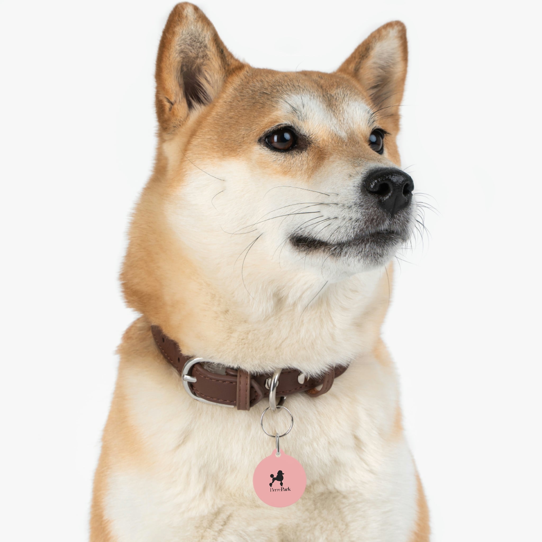 Dog Tag