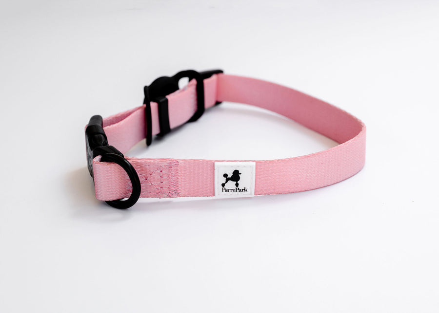 The Pink Dog Collar