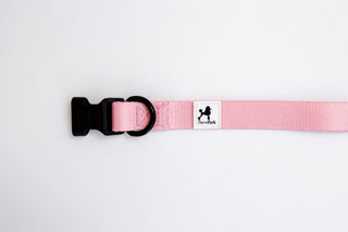 The Pink Dog Collar by PierrePark features a black plastic buckle and ring, along with a small patch depicting a cartoon dog silhouette and the text PawPark, shown against a plain white background.
