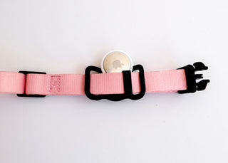 The PierrePark Pink Dog Collar features adjustable black plastic buckles and includes a circular holder with a white tracking device, all showcased on a white background.